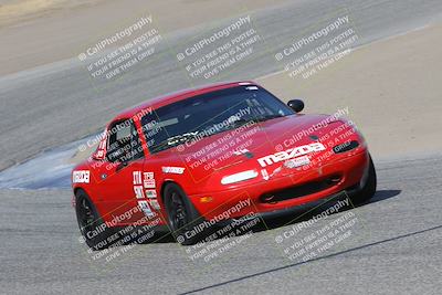 media/Nov-04-2023-CalClub SCCA (Sat) [[cb7353a443]]/Group 1/Cotton Corners (Race)/